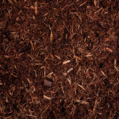 Hemlock Bark