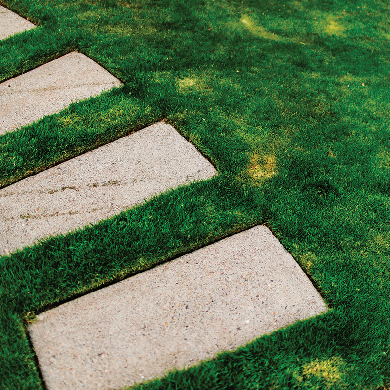 Premium Turf Start™