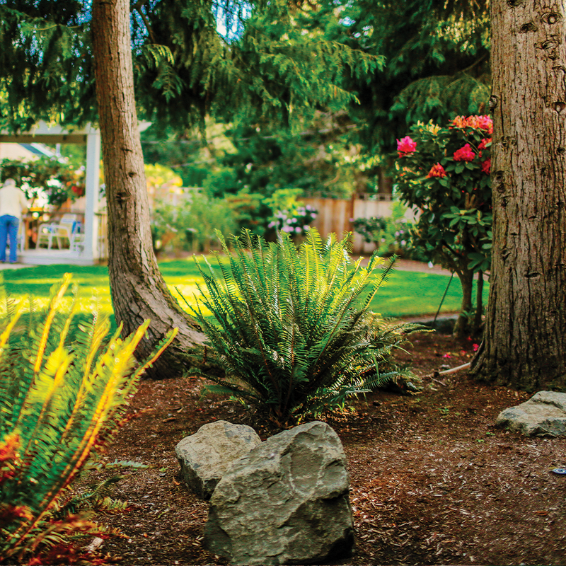 EconoBark™ Bark Mulch