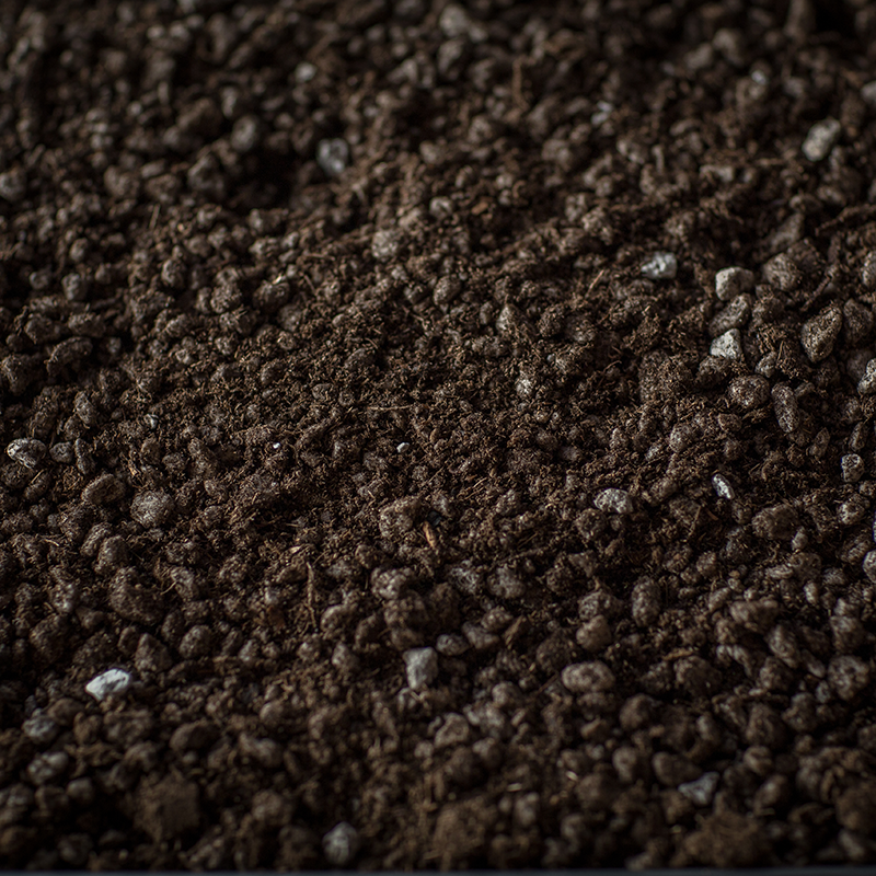 Roof Top 4 (extensive) Soil Rexius