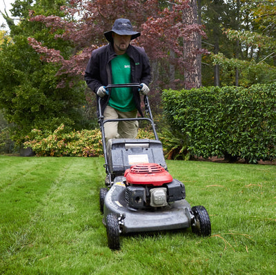 Continue to mow and edge.