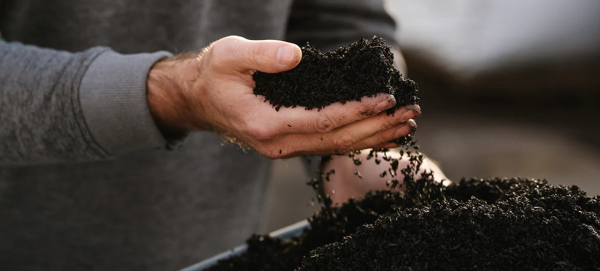 Biochar Basics: What It Is and How It Benefits Your Soil – Rexius