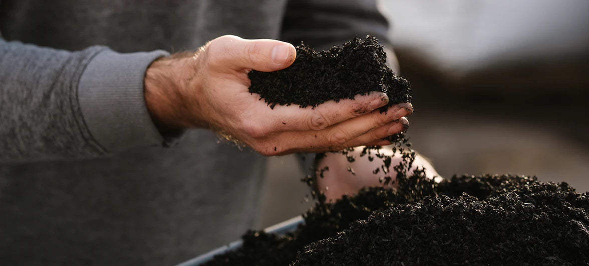 The Ultimate Guide to Biochar: Benefits and Uses in Sustainable Agriculture
