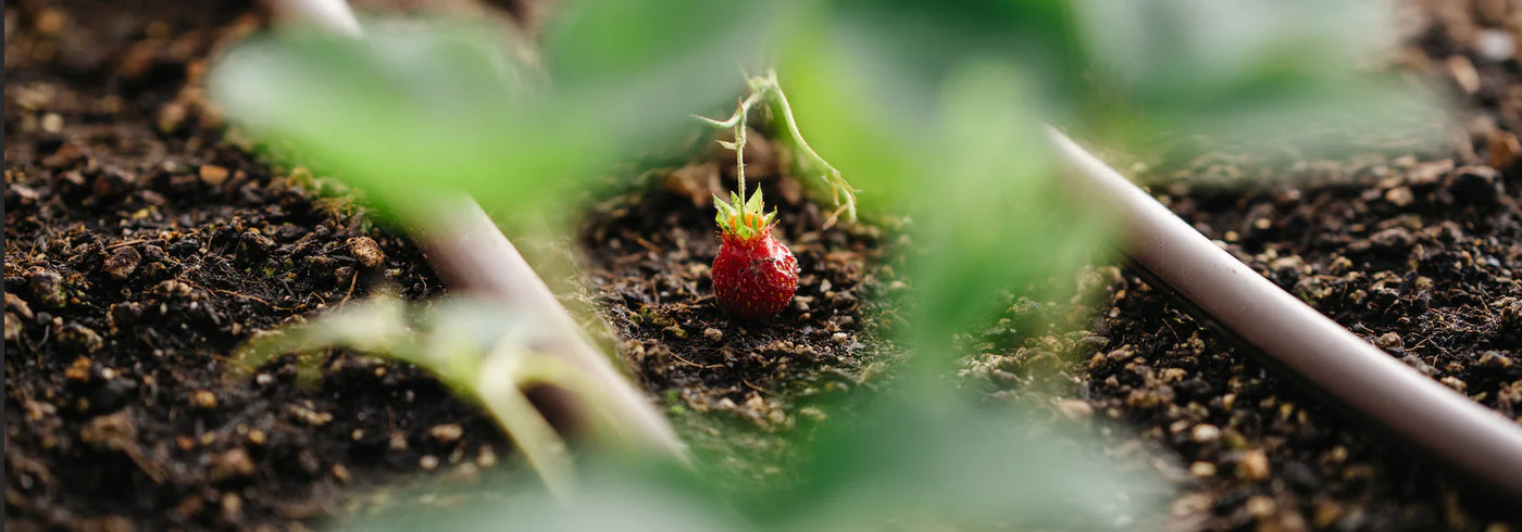 How Organic Compost Can Help Combat Soil Erosion