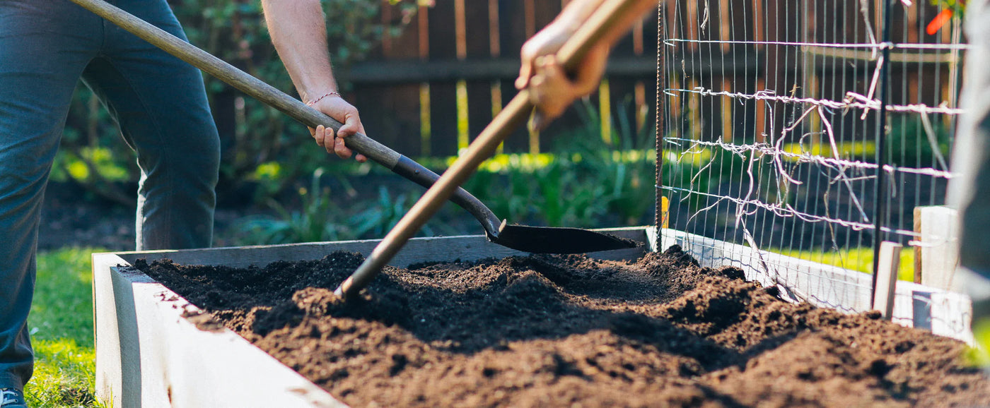 Top Soil: The Foundation of Healthy Gardens and Agriculture