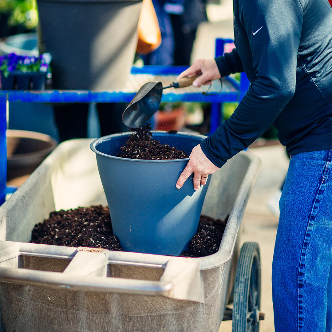 The Ultimate Guide to Potting Soil: A Gardener's Best Friend – Rexius