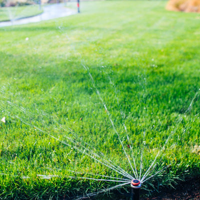 Give your lawn the correct amount of water