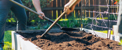The Science of Soil Amendment: When to Use Compost vs Soil