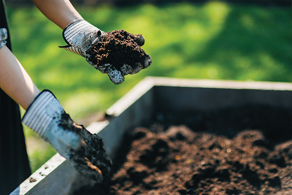 Bad Soil Background Does soil go bad? – Rexius