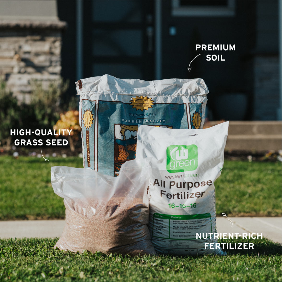 thumbnail interactive-video image 1 of Organic Granular Compost & Seed - 20kg Lawn Top Dressing With 3-Way Grass Blend 1 of 14