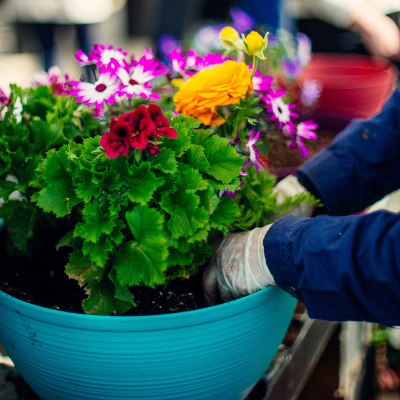 Patio Potting Soil