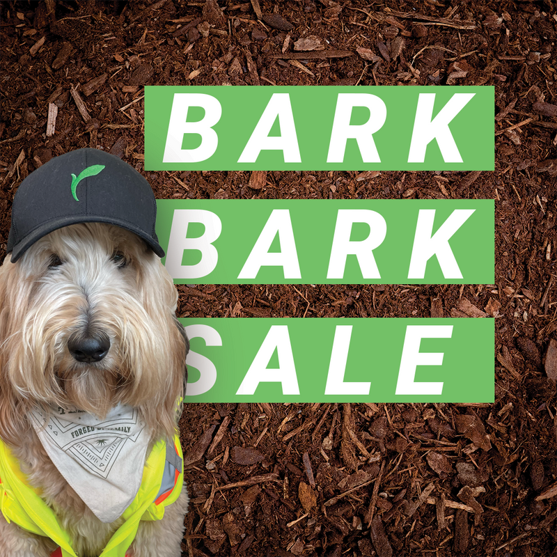 BARK BARK SALE
