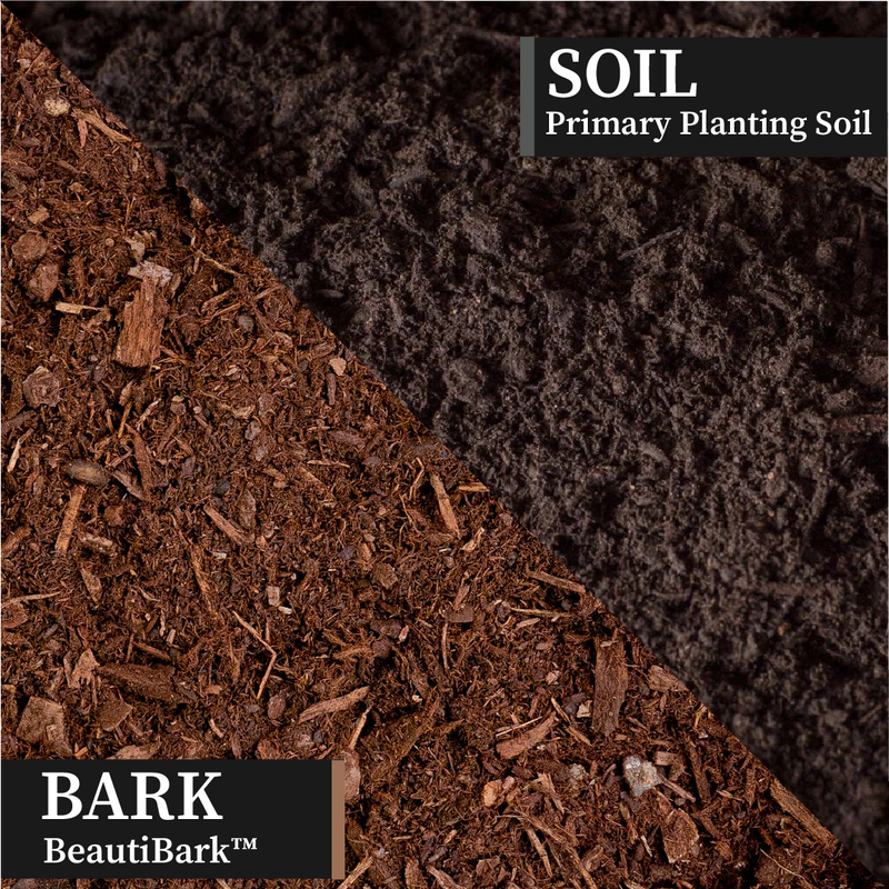 Split Planting Split Load – Rexius