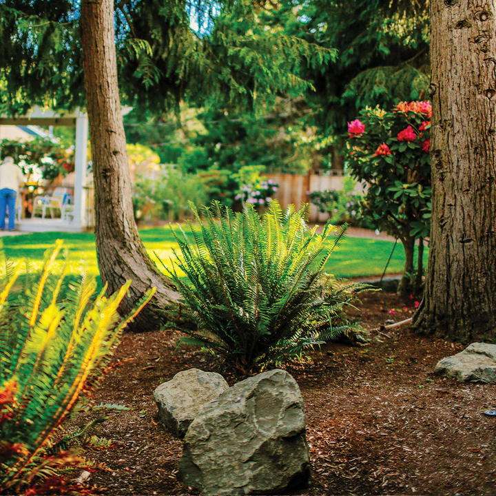 econo_720x.png?v=1642725567